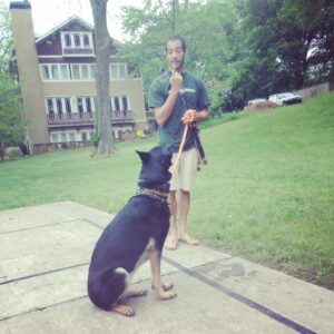 Dog Training Austin Blog